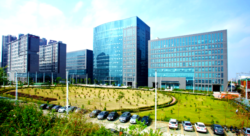 企业团建出行方案定制：华人国际旅行社华南分公司服务优势